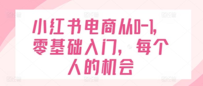 小红书电商从0-1，零基础入门，每个人的机会-木子聊项目