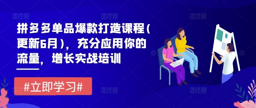 拼多多单品爆款打造课程(更新6月),充分应用你的流量,增长实战培训-木子聊项目