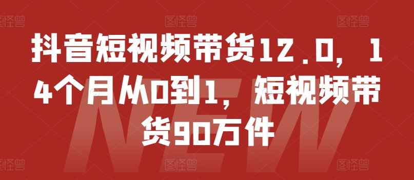 抖音短视频带货12.0,14个月从0到1,短视频带货90万件-木子聊项目