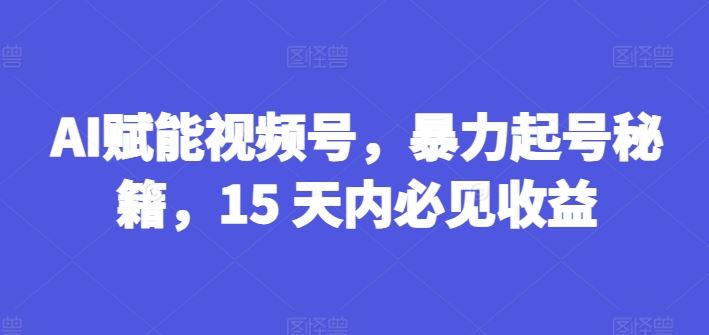 AI赋能视频号，暴力起号秘籍，15 天内必见收益【揭秘】-木子聊项目