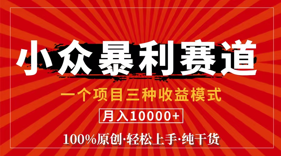 （11695期）视频号【中老年粉深信不疑】小众赛道 100%原创 手把手教学 新号3天收益…-木子聊项目