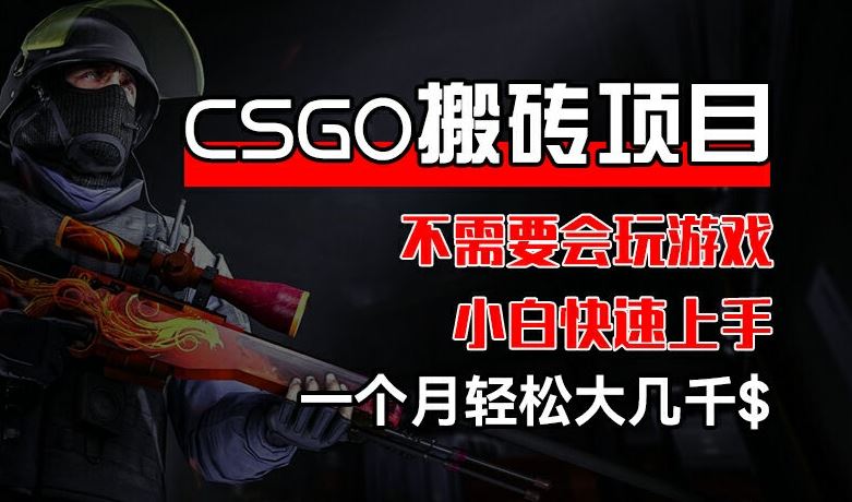 CSGO 装备搬砖项目，操作简单，不需要会玩游戏，小白也能快速上手，一个月轻松大几千【揭秘】-木子聊项目