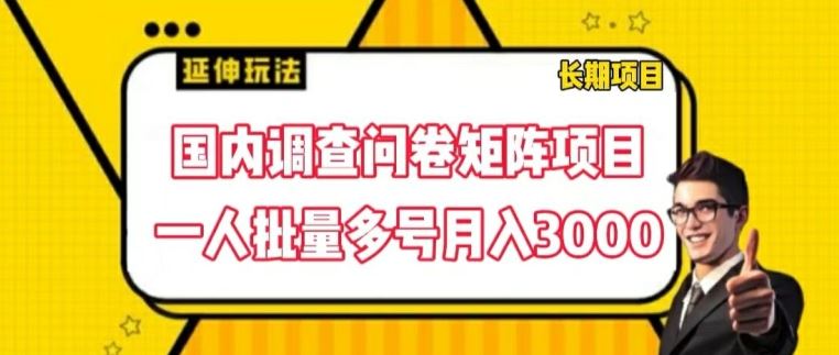 国内调查问卷矩阵项目,一人批量多号月入3000【揭秘】-木子聊项目