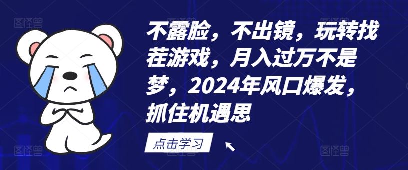 不露脸，不出镜，玩转找茬游戏，月入过万不是梦，2024年风口爆发，抓住机遇【揭秘】-木子聊项目