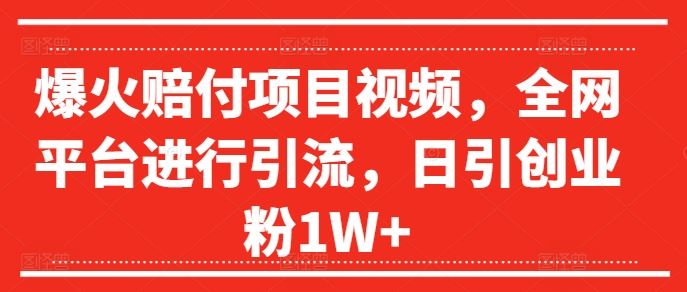 爆火赔付项目视频，全网平台进行引流，日引创业粉1W+【揭秘】-木子聊项目