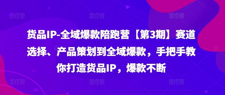 货品IP全域爆款陪跑营【第3期】赛道选择、产品策划到全域爆款,手把手教你打造货品IP,爆款不断-木子聊项目
