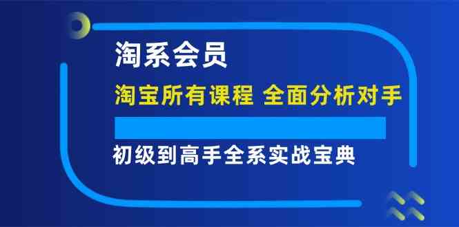 淘系会员初级到高手全系实战宝典【淘宝所有课程，全面分析对手】-木子聊项目