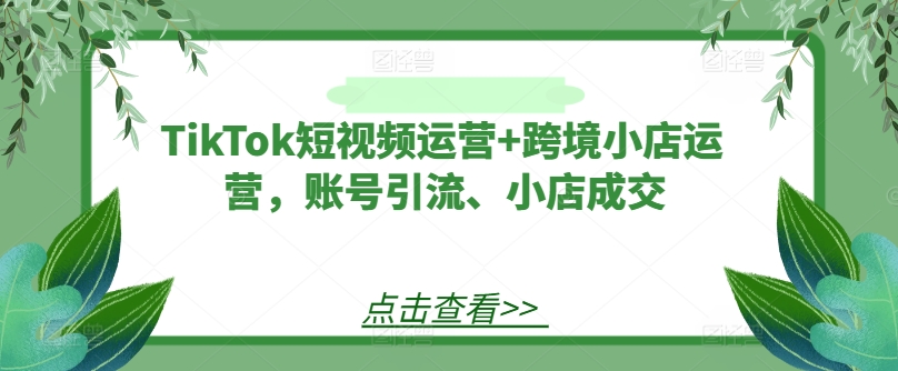 TikTok短视频运营+跨境小店运营，账号引流、小店成交-木子聊项目