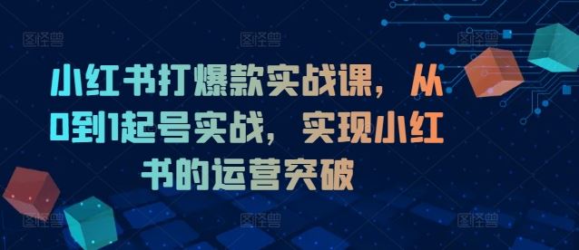 小红书打爆款实战课，从0到1起号实战，实现小红书的运营突破-木子聊项目