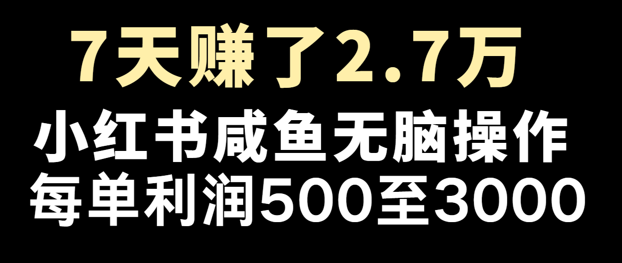 七天赚了2.7万！每单利润最少500+，轻松月入5万+小白有手就行-木子聊项目