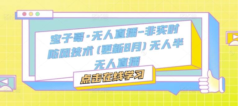 宝子哥·无人直播-非实时防风技术(更新8月)无人半无人直播-木子聊项目