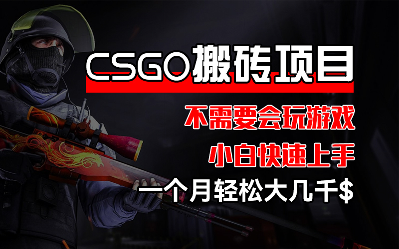 （12332期）CSGO 装备搬砖项目，操作简单，不需要会玩游戏，小白也能快速上手，一…-木子聊项目