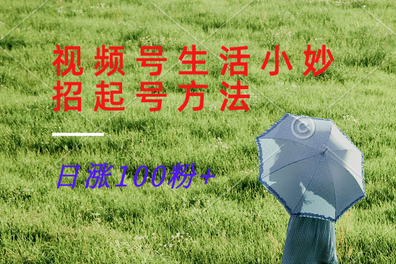 视频号生活小妙招分享赛道， 起号涨粉新方法，日涨100粉-木子聊项目