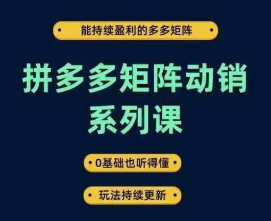 拼多多矩阵动销系列课，能持续盈利的多多矩阵，0基础也听得懂，玩法持续更新-木子聊项目