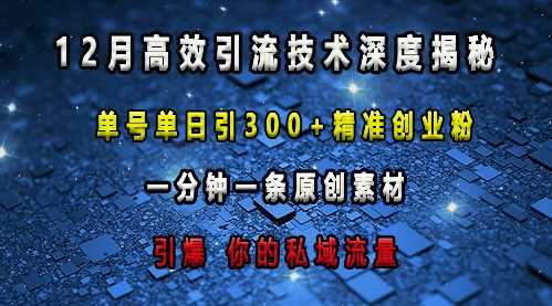 最新高效引流技术深度揭秘 ，单号单日引300+精准创业粉，一分钟一条原创素材，引爆你的私域流量-木子聊项目