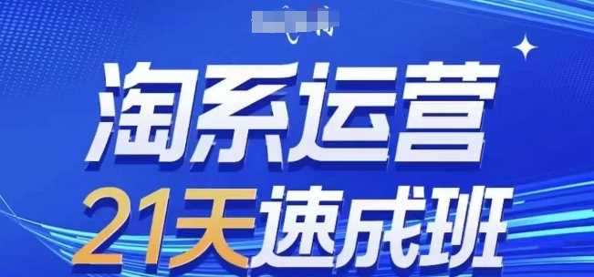 淘系运营21天速成班(更新24年12月),0基础轻松搞定淘系运营,不做假把式-木子聊项目