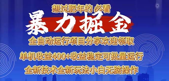 （13675期）2025暴力掘金项目，想过肥年必看！-木子聊项目