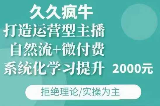 久久疯牛·自然流+微付费(12月23更新)打造运营型主播，包11月+12月-木子聊项目