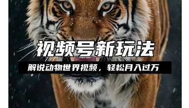 利用动物世界解说视频,赚分成计划收益,轻松月入过W,操作简单【揭秘】-木子聊项目