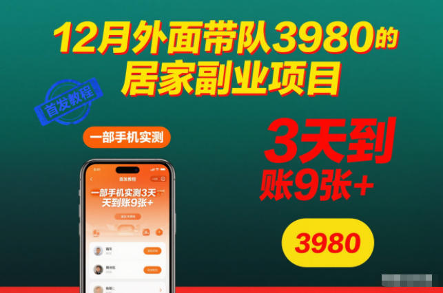 12月外面带队3980的居家副业项目，一部手机实测3天到账9张+，首发教程【揭秘】-木子聊项目
