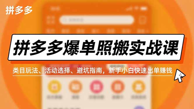 拼多多爆单照搬实战课，类目玩法、活动选择、避坑指南，新手小白快速出单赚钱-木子聊项目