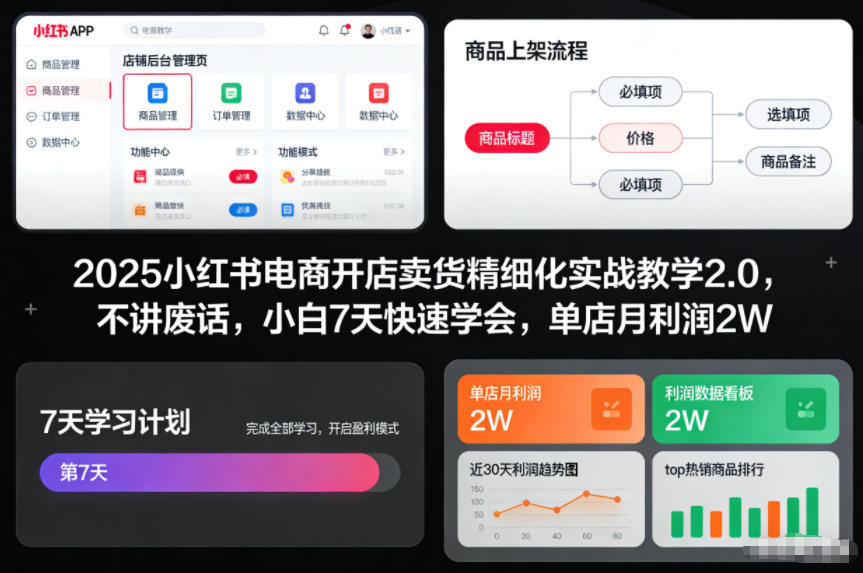 2025小红书电商开店卖货精细化实战教学2.0，不讲废话，小白7天快速学会，单店月利润2W-木子聊项目