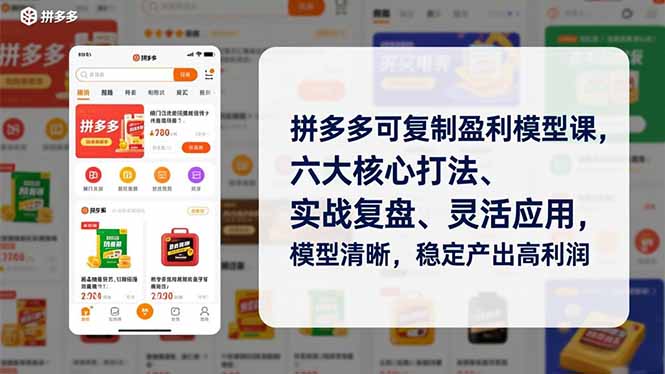 拼多多可复制盈利模型课，六大核心打法、实战复盘、灵活应用，模型清晰，稳定产出高利润-木子聊项目