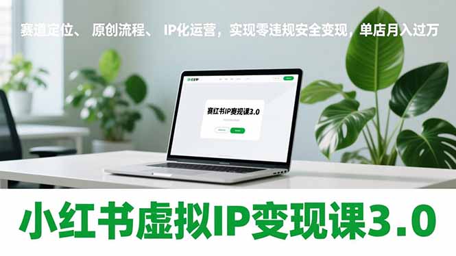 小红书虚拟IP变现课3.0，赛道定位、原创流程、IP化运营，实现零违规安全变现，单店月入过万-木子聊项目