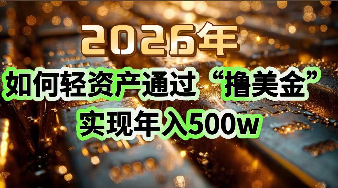 2026年如何轻资产通过“撸美金”实现年入500w-木子聊项目