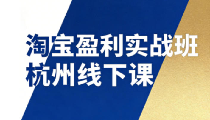淘宝盈利实战班杭州线下课12月26-28日(音频+字幕)，帮你掌握SOP流程+12门核心技术-木子聊项目