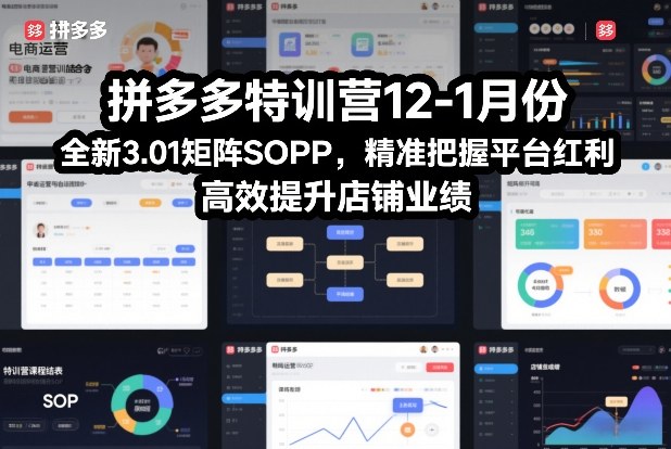 拼多多特训营12-1月份，全新3.01矩阵Sop，精准把握平台红利，高效提升店铺业绩-木子聊项目
