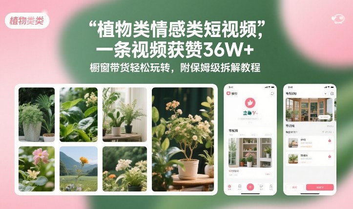 植物类情感类短视频，一条视频获赞36W+，橱窗带货轻松玩转，附保姆级拆解教程-木子聊项目