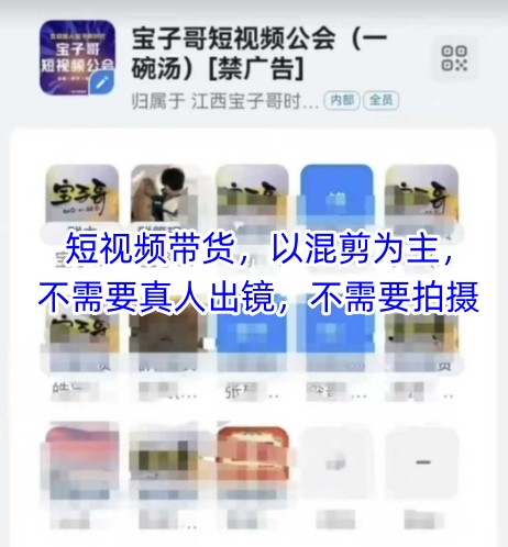 宝子哥头部团队短视频带货，以混剪为主，不需要真人出镜，不需要拍摄【更新26年1月】-木子聊项目