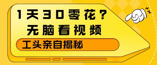 1天30零花？无脑看视频，大佬亲自揭秘-木子聊项目