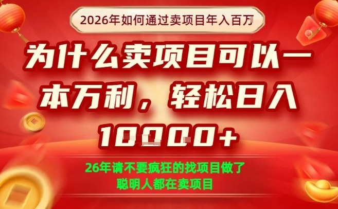 一单净利润1K+，26年想年入100个W，死磕卖项目就够了【揭秘】-木子聊项目