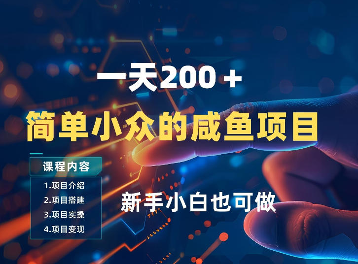 一天收入2张，一个简单小众的咸鱼项目，0门槛小白也能做-木子聊项目