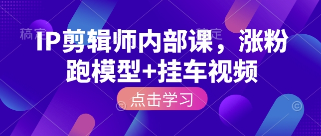 IP剪辑师内部课，涨粉跑模型+挂车视频(更新)-木子聊项目