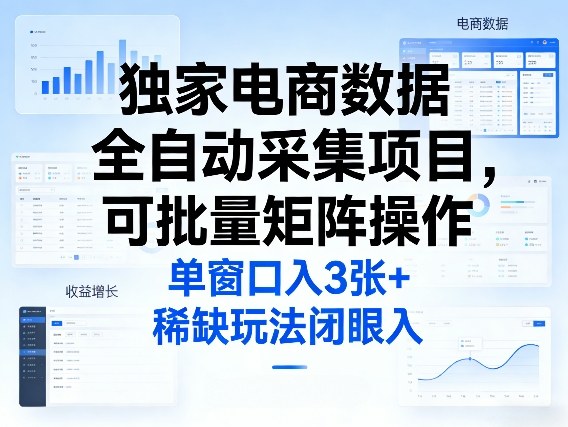 独家电商数据全自动采集项目，可批量矩阵操作，单窗口日入3张+，稀缺玩法闭眼入【揭秘】-木子聊项目