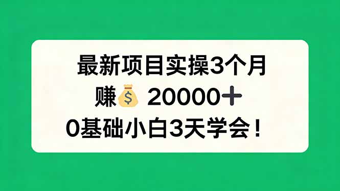 最新项目实操3个月，赚钱20000+，0基础小白3天学会！-木子聊项目