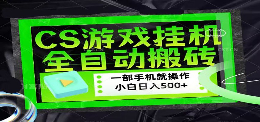 CSGO游戏挂机捡漏搬砖，超稳定的项目，带领1000+小白实现日入500+-木子聊项目