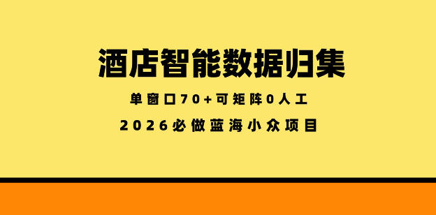 酒店智能数据归集，小众蓝海已经稳定半年之久，单窗口70+零成本矩阵开干【揭秘】-木子聊项目