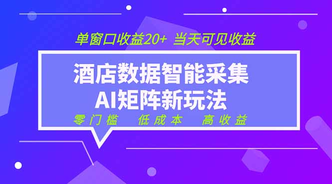 2026酒店数据采集ai智能矩阵新风口 低成本 高收益 当天见收益 单窗口20+-木子聊项目