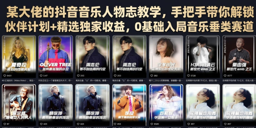 某大佬的抖音音乐人物志教学，手把手带你解锁伙伴计划+精选独家收益，0基础入局音乐垂类赛道-木子聊项目