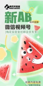 梅花实验室2024年AB技术视频号AB合成破解版-木子聊项目