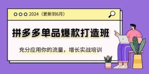 2024拼多多单品爆款打造班，充分应用你的流量，增长实战培训(更新6月)-木子聊项目