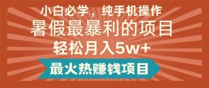（11583期）小白必学，纯手机操作，暑假最暴利的项目轻松月入5w+最火热赚钱项目-木子聊项目