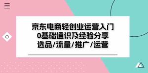 京东电商轻创业运营入门0基础通识及经验分享：选品/流量/推广/运营-木子聊项目