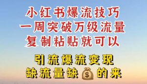 小红书爆流技巧,一周突破万级流量,复制粘贴就可以,引流爆流变现【揭秘】-木子聊项目