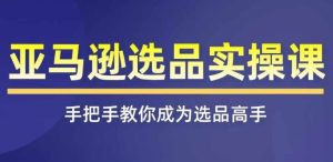 亚马逊选品实操课程，快速掌握亚马逊选品的技巧，覆盖亚马逊选品所有渠道-木子聊项目