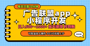 （11645期）小程序开发 广告赚钱 日入500~1000+ 小白轻松上手！-木子聊项目